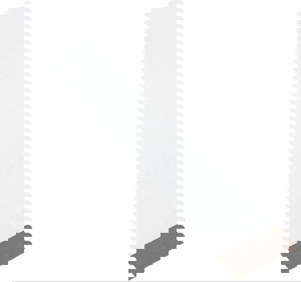 Courier Mailing Envelope: 6